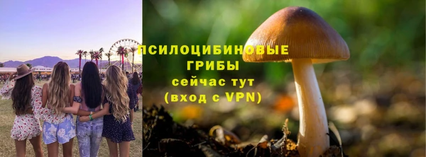 ECSTASY Абинск