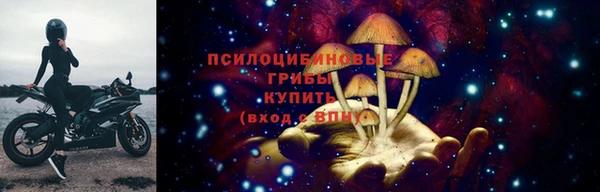 ECSTASY Абинск