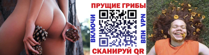 hydra вход  хочу наркоту  Мещовск  Псилоцибиновые грибы прущие грибы 